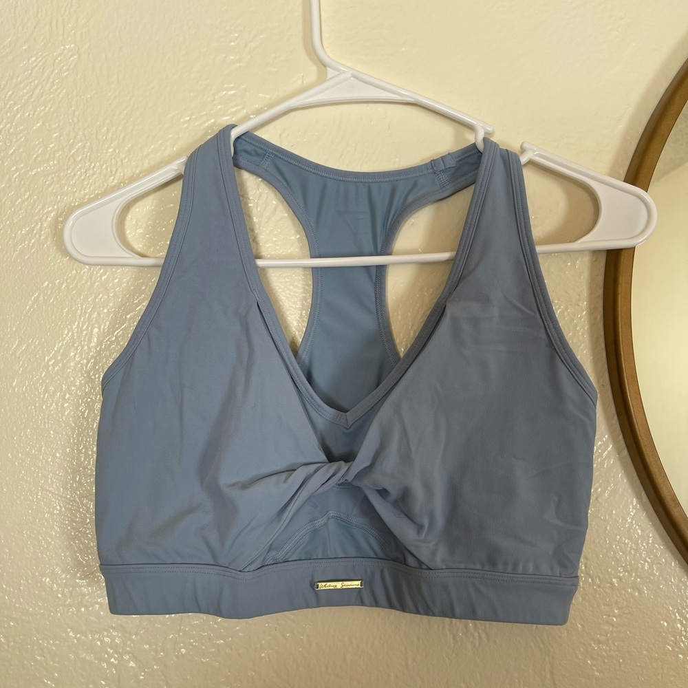 Gymshark Whitney Mesh Sports Bra - Blue